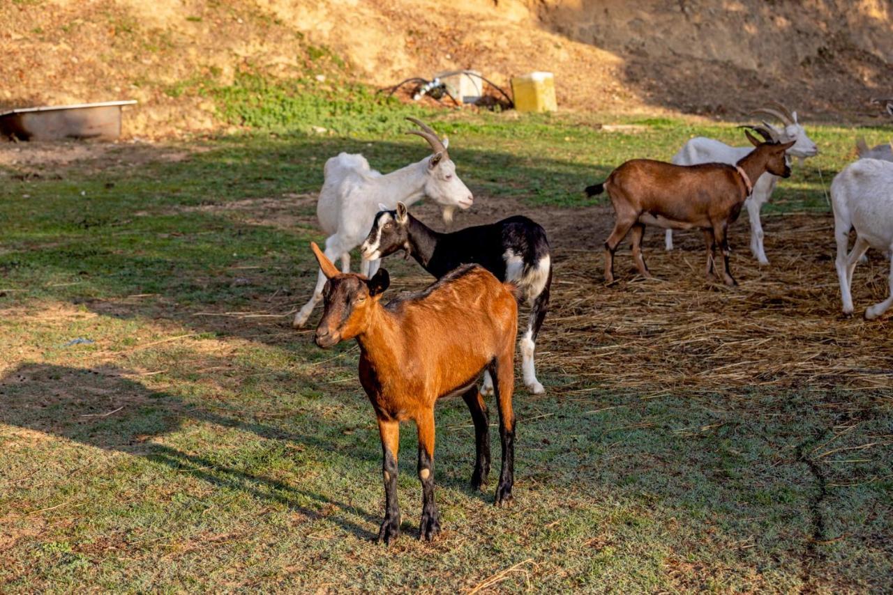 ספוטורנו Agriturismo Cascina Trevo מראה חיצוני תמונה