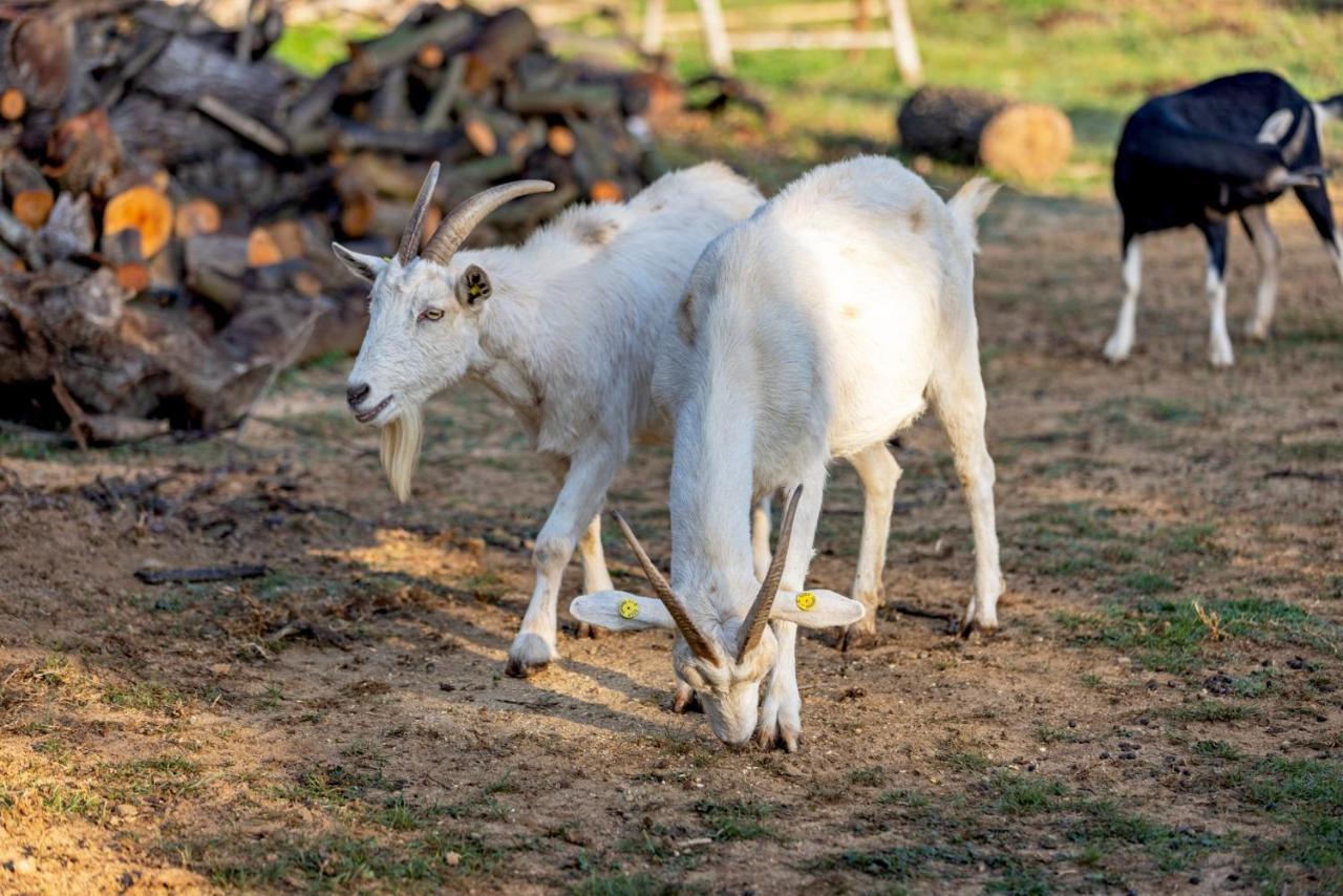 ספוטורנו Agriturismo Cascina Trevo מראה חיצוני תמונה